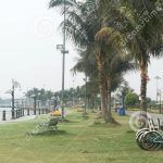 PUBLIC PARK3